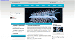 Desktop Screenshot of choreoevent.com
